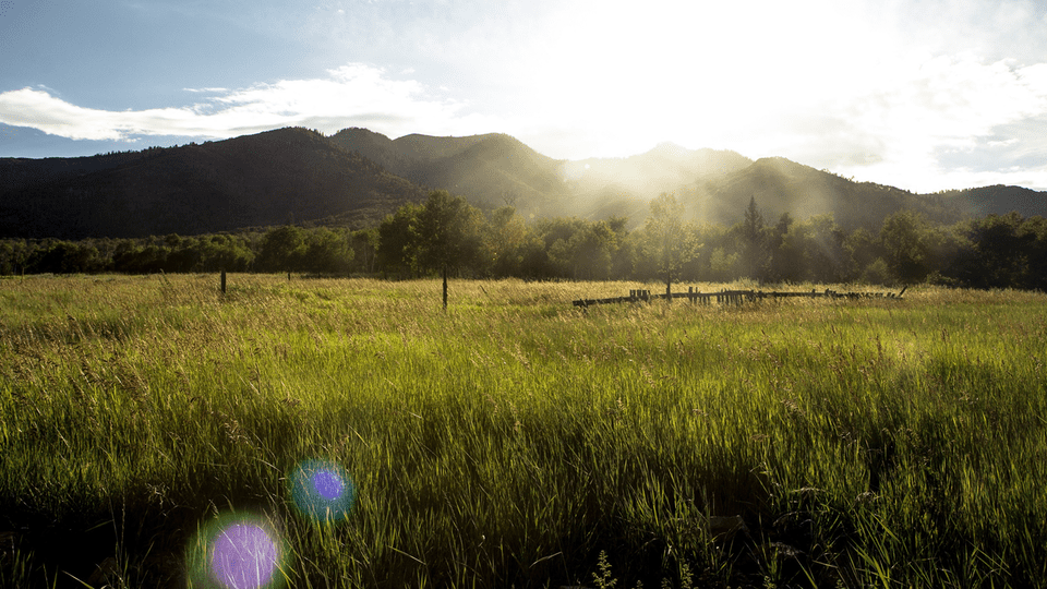 green-nature-photo-12