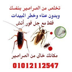 تخلص من الصراصير بنفسك وبدون عناء وخطر المبيدات
