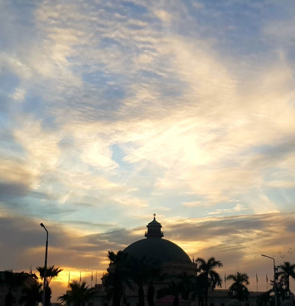 ٢٠٢٠٠٢٢٧_١٨٠٤٣١