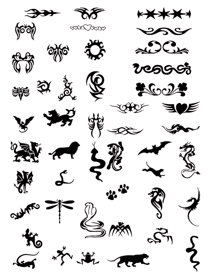 11873530_794385150681055_2209055119300375971_n