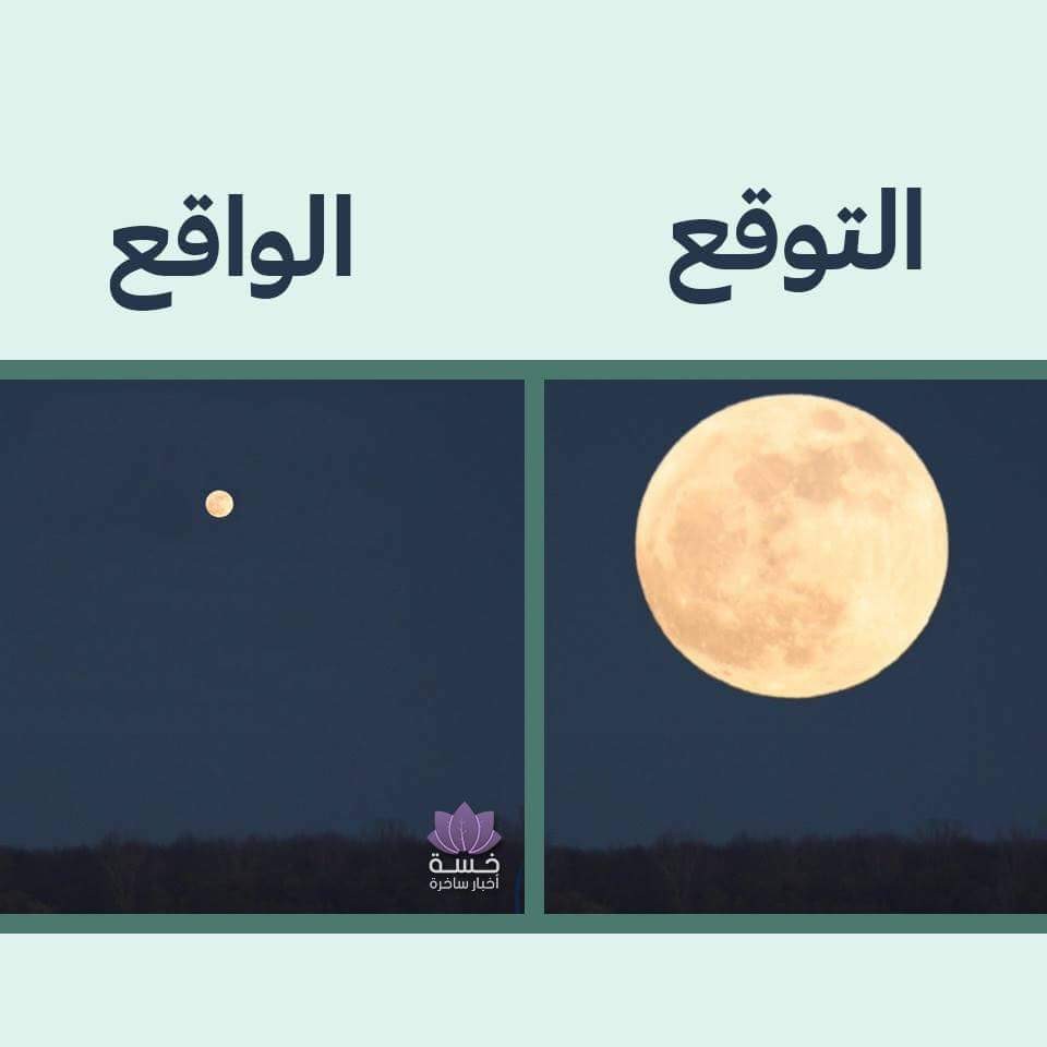 FB_IMG_1479137777695
