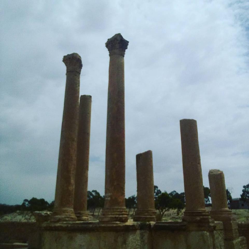 19599002_10211903968146169_5184050802305323027_n