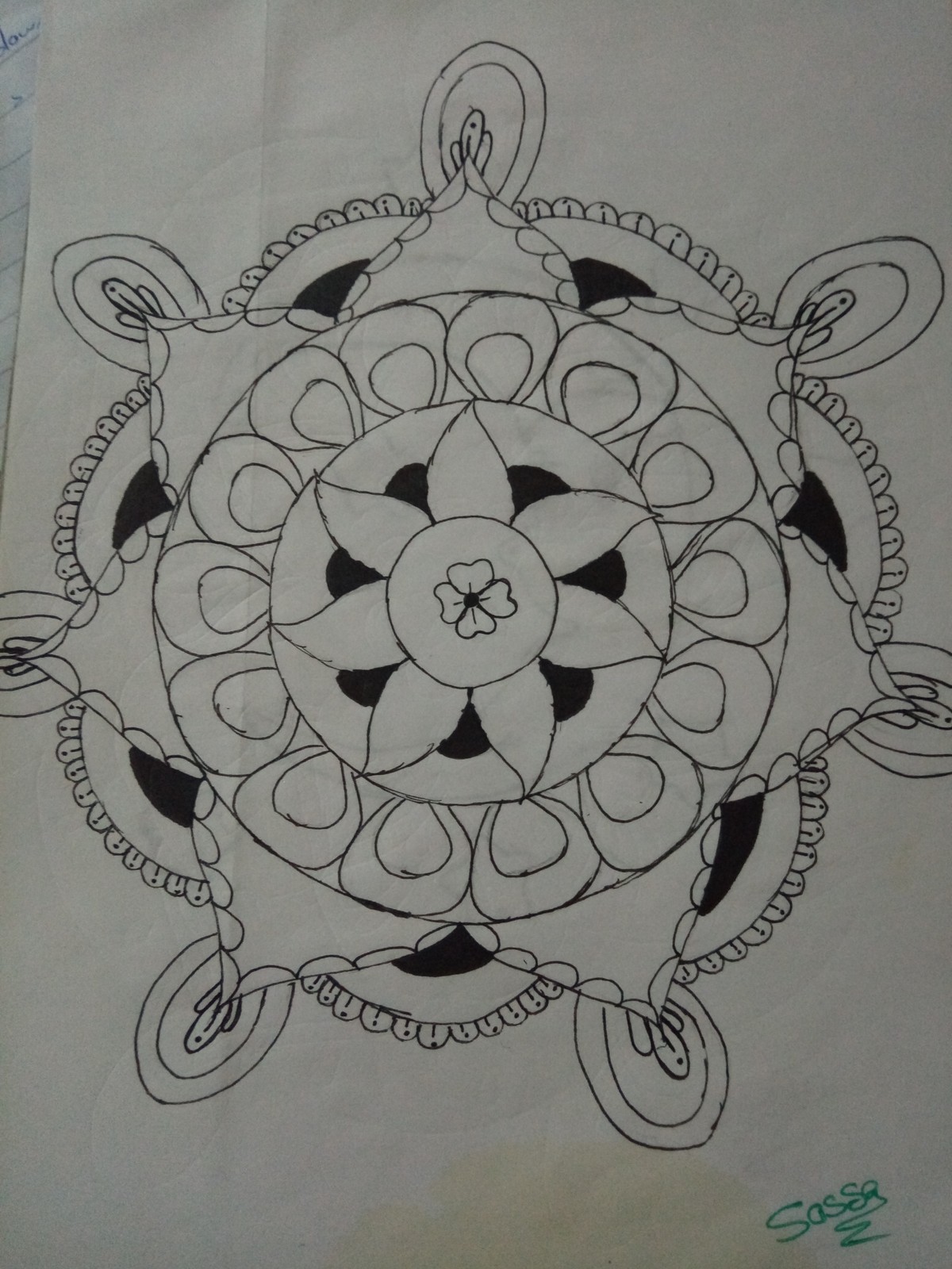 IMG_٢٠١٧٠١٢٢_١٥٥١٢٧