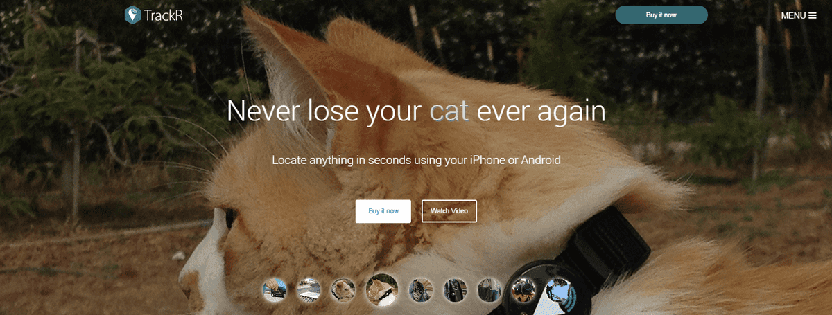 Snapshot_2016-02-23_111026