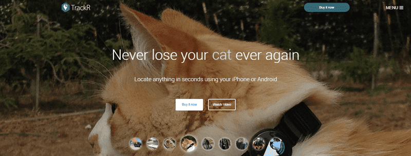 Snapshot_2016-02-23_111026