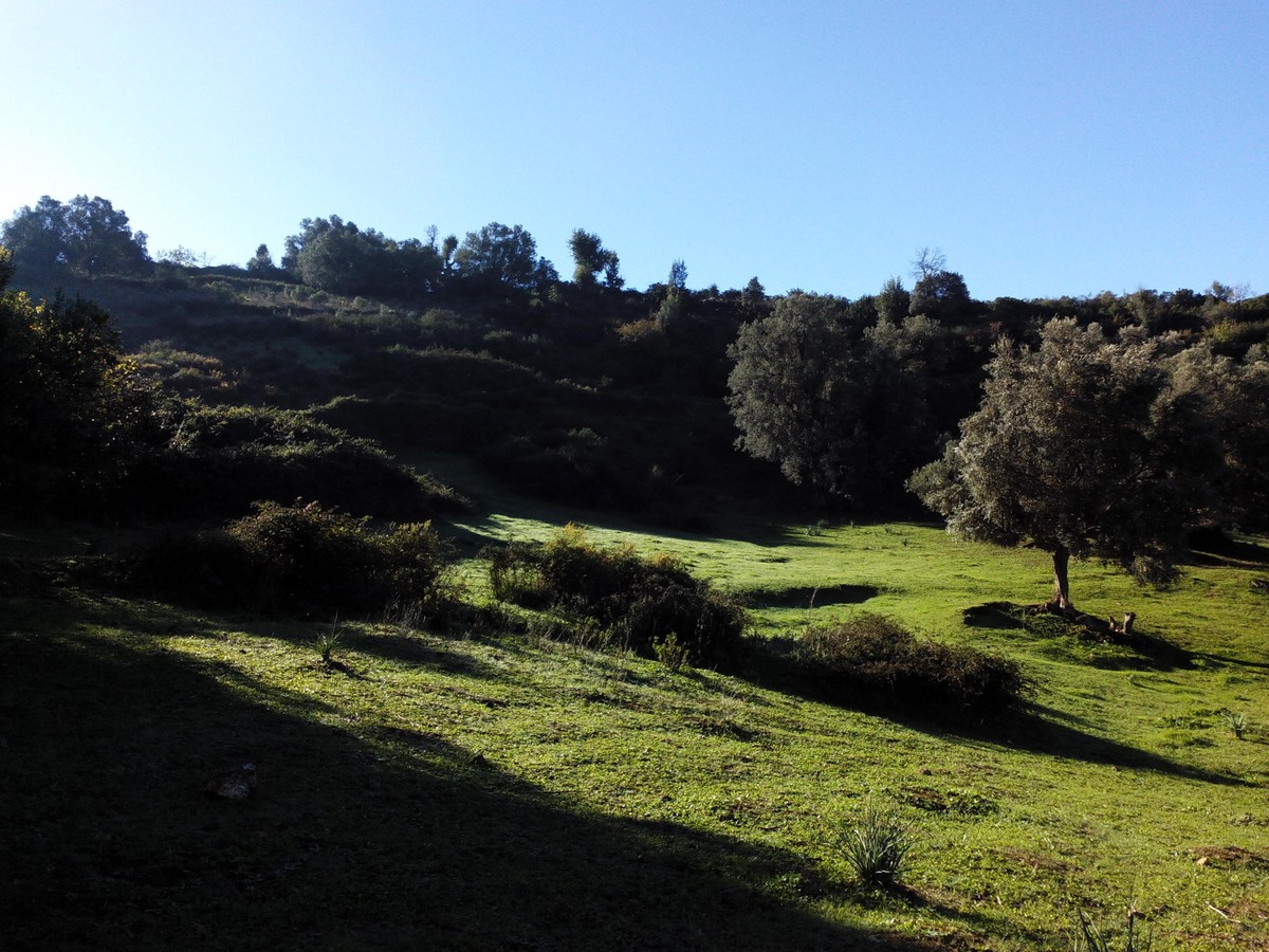 IMG_20151108_101113