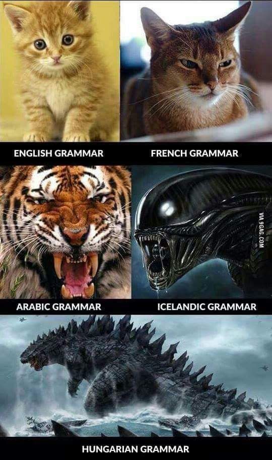 37068bd017ea2db8888baa64977c9041