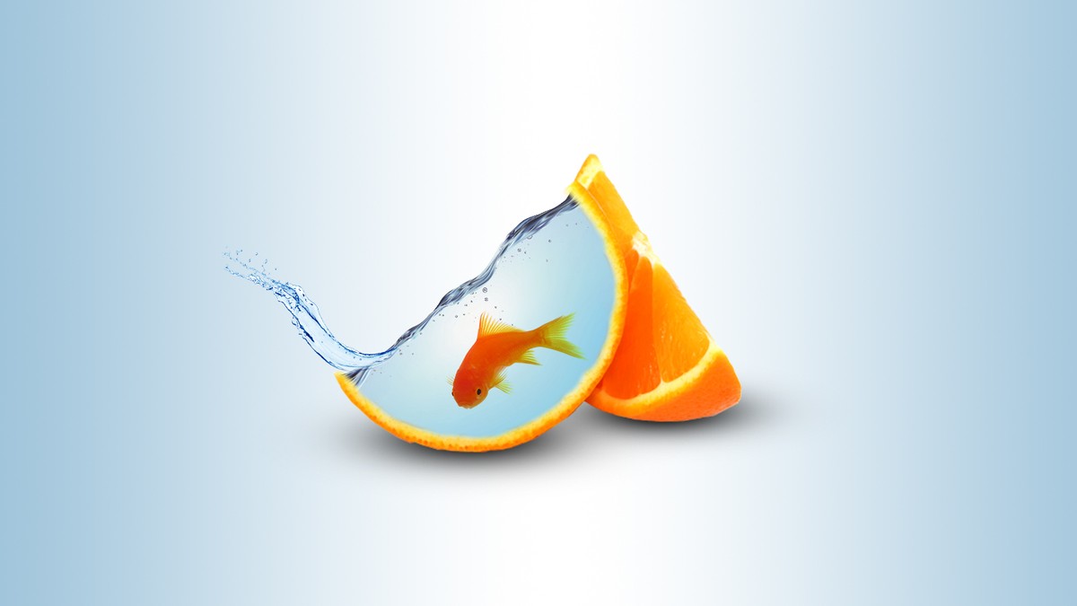 سمكة_في_برتقالة