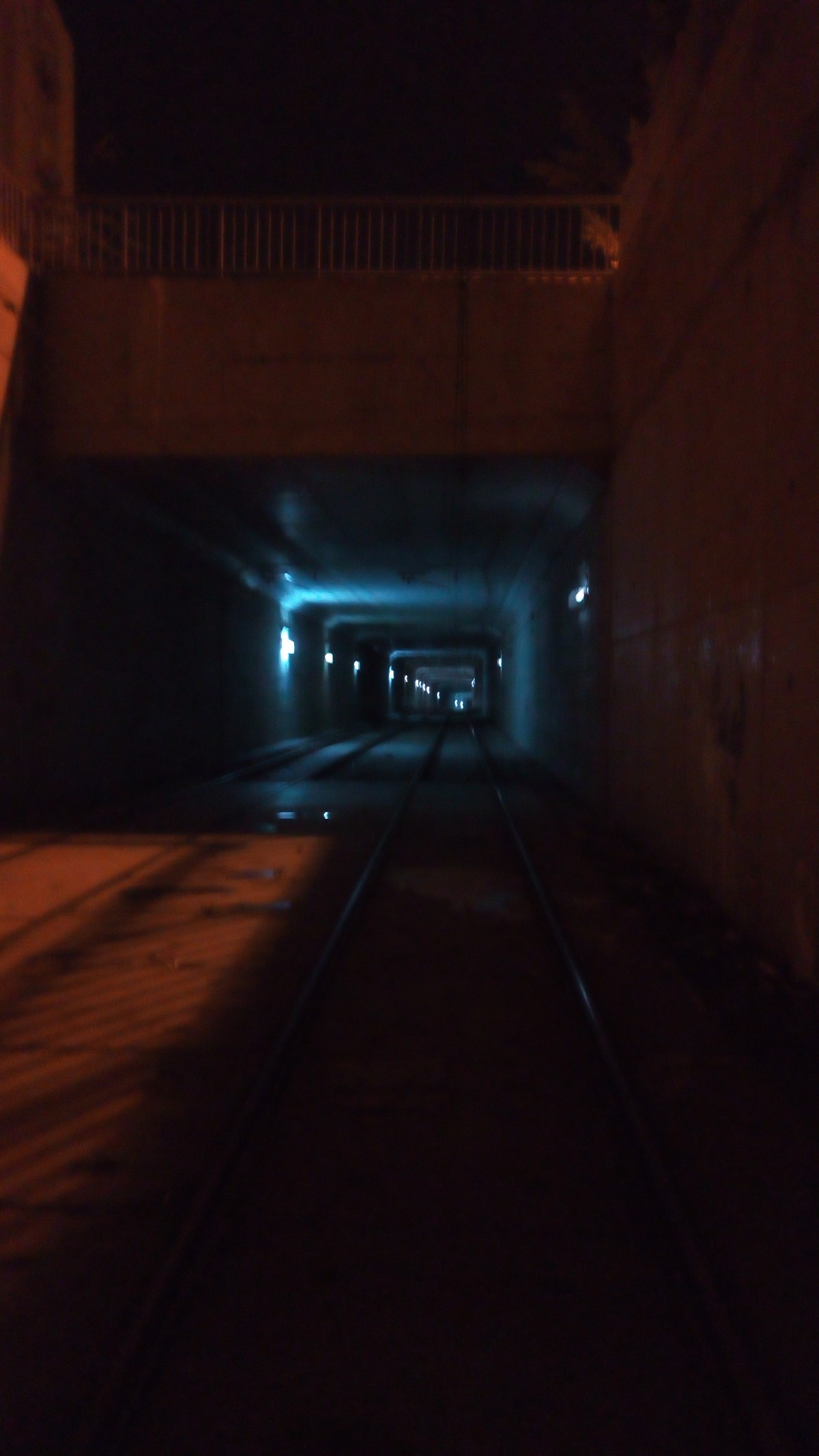 IMG_20201208_225039_1_