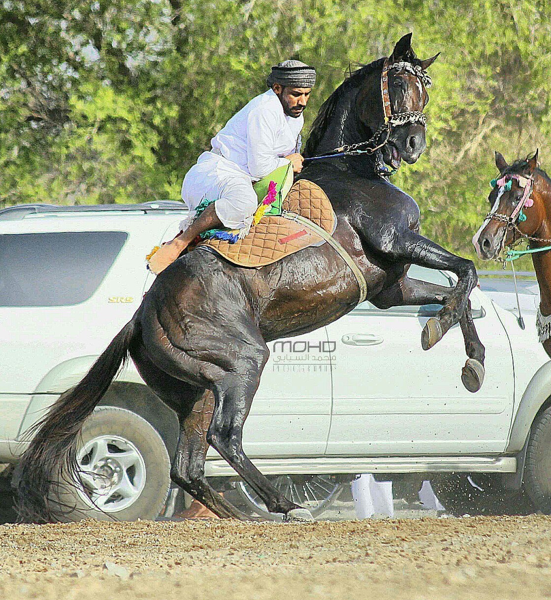 IMG_٢٠١٦٠٩١٥_٠١٤٦١٦