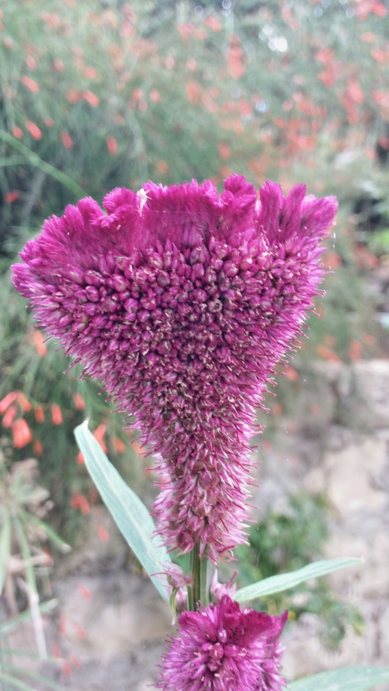 PicsArt_11-19-10.39.26