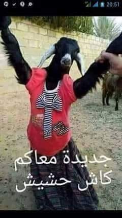 قريبا في الفيس بوك لاتستغرب