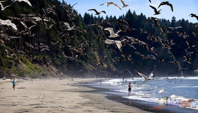 world-pictures-nature-new-53