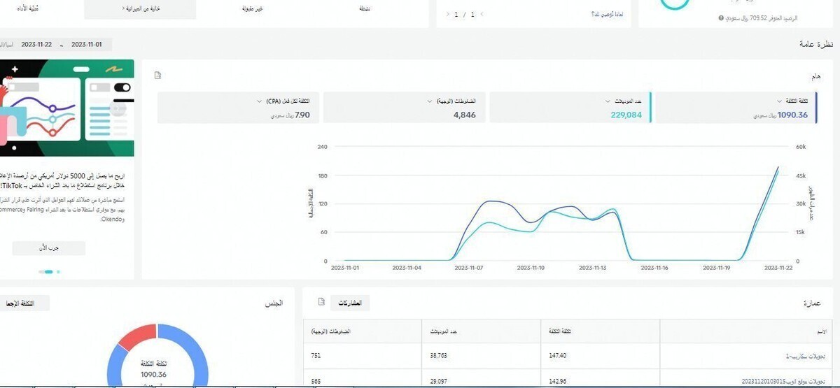 نتائج حملات تيك توك