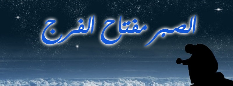ghjuivfd__590_