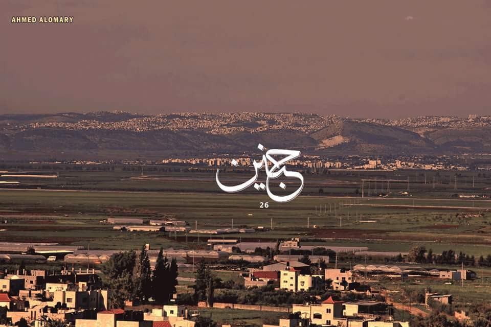 جنين