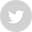 tw-icon