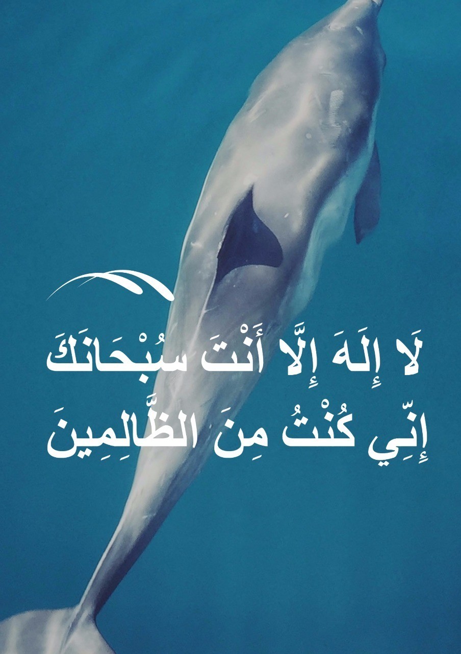IMG-20190320-WA0016