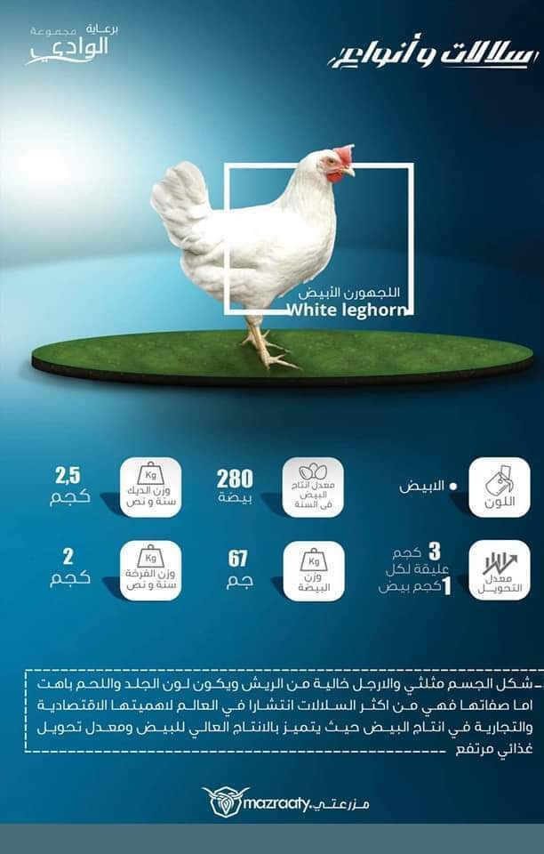 FB_IMG_1550854331127