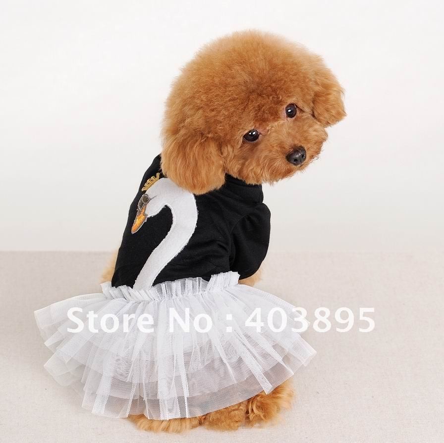 راقصة الباليه