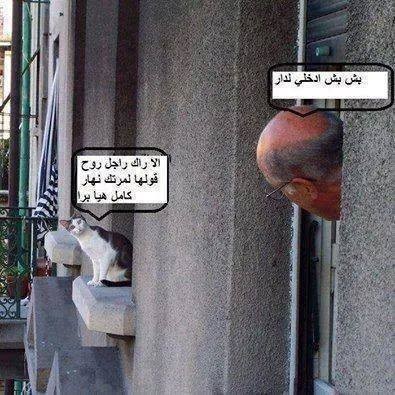 هدي واعرة