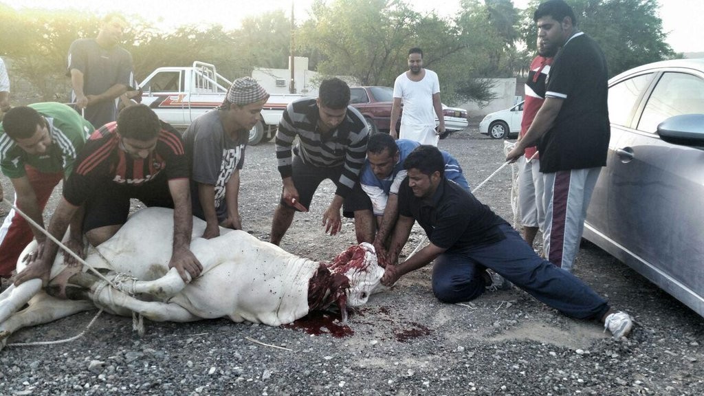 IMG_٢٠١٦٠٩١٥_٠١٥٣١٦