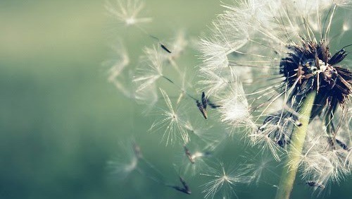 20160904-11305-10579qk