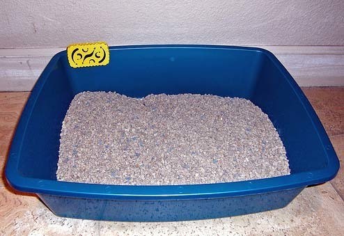 in-use-litter-box6