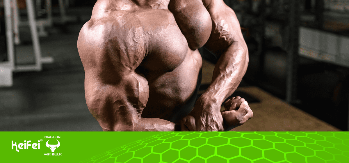 Building Muscle Safely with the Best Legal Supplements for Muscle Growth
