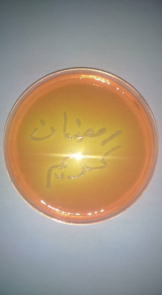 20160607-25939-h67x6d