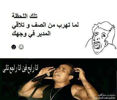 1174851_619757404735440_538207420_n