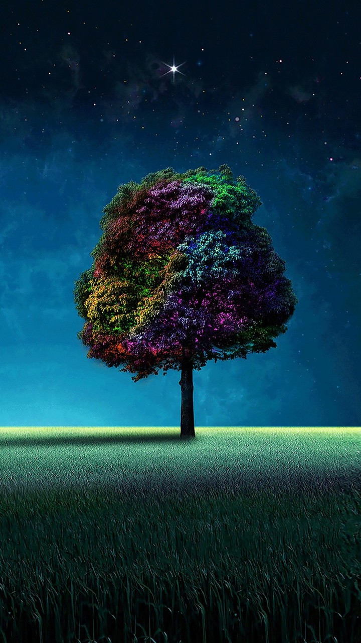Colorful_tree-wallpaper-11300463