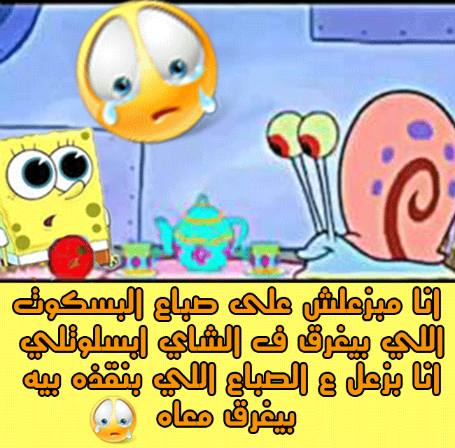 بسكوت