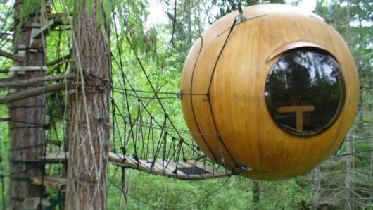 12932857_1219539658056643_4520880408846103289_n