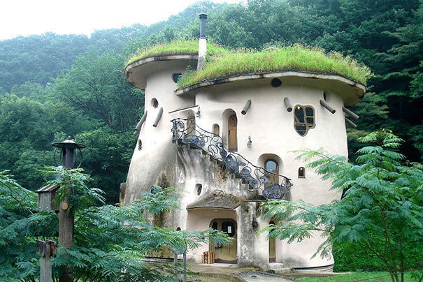 منزل صغير فى أحد غابات اليابان