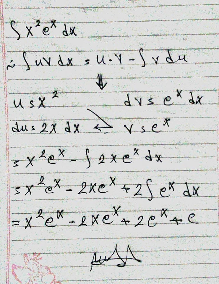 13867151_533996620118531_568849012_n