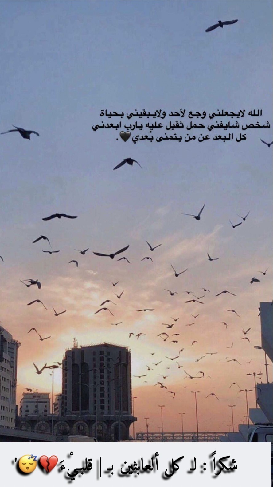 D8ED3532-61A9-4B97-B35F-A4E6CD787519