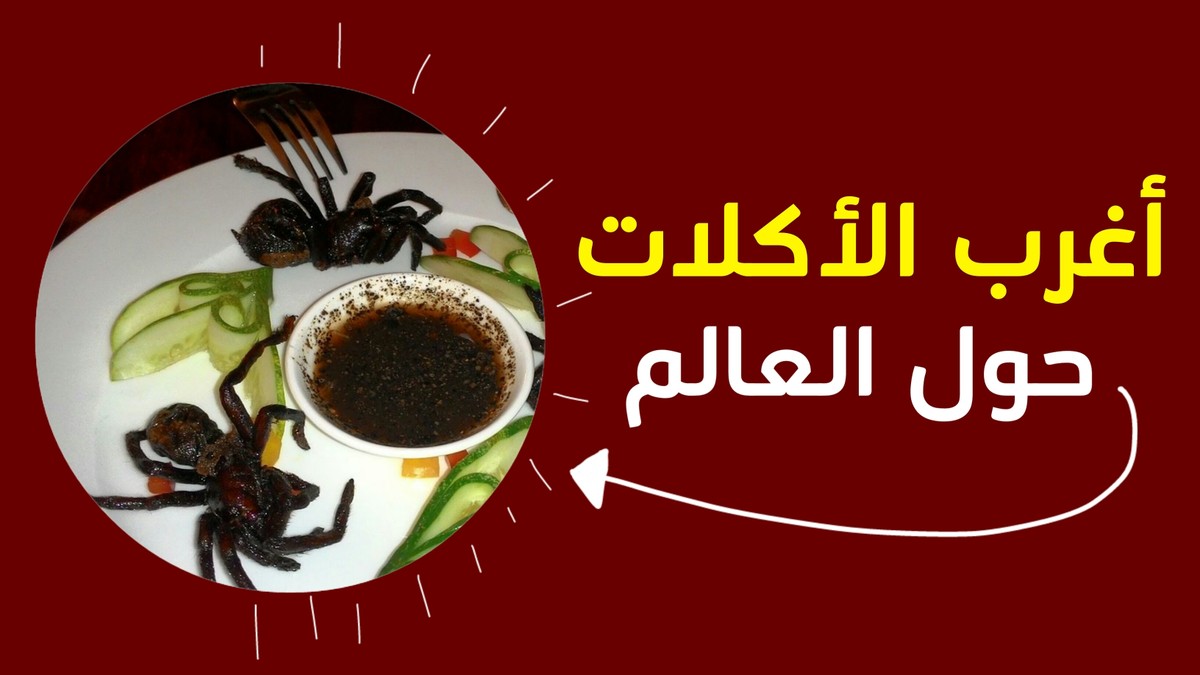 ٢٠٢٠٠٦٠٨_١٥١٧٥٨