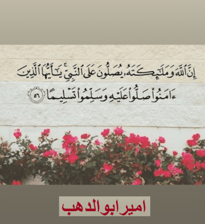 amir.1