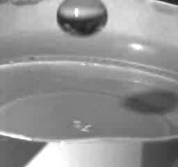drop