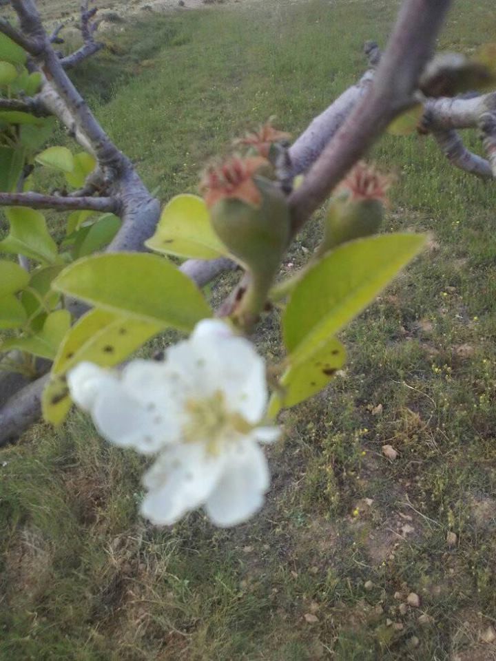 18274701_10211406204462388_736013334673473320_n