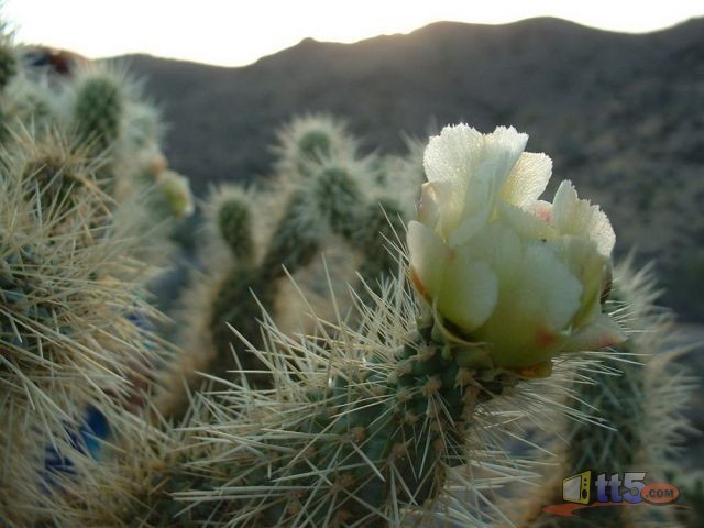 world-pictures-nature-new-57