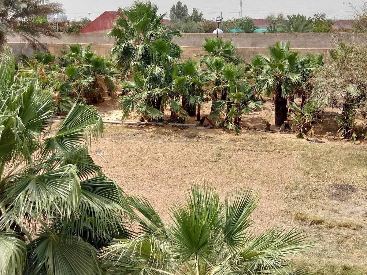 bf0573d4-ba17-4780-a4c7-da39dd827b53