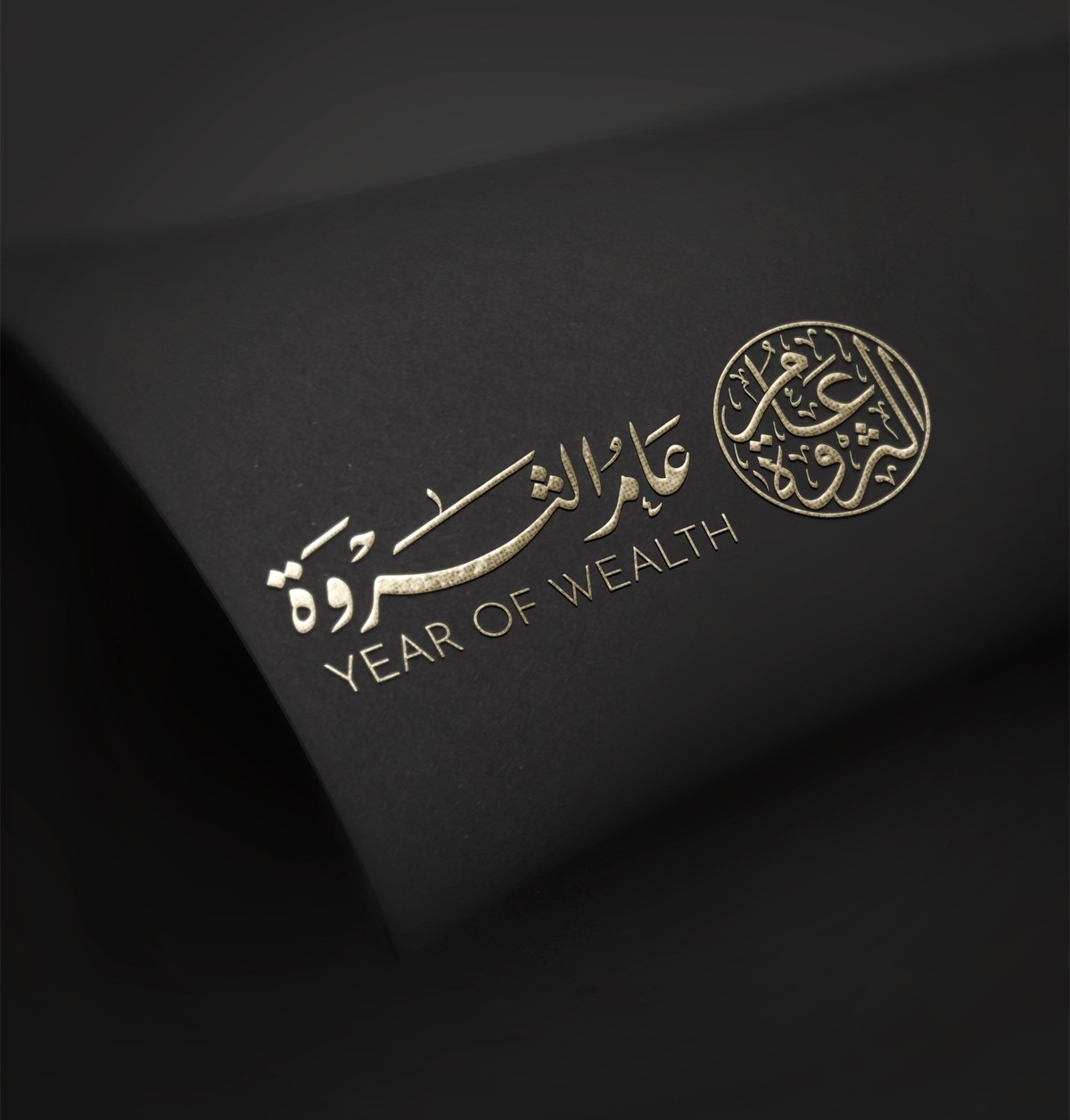 عام-الثروة-24