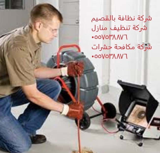 شركة مكافحة حشرات 0557538876 L