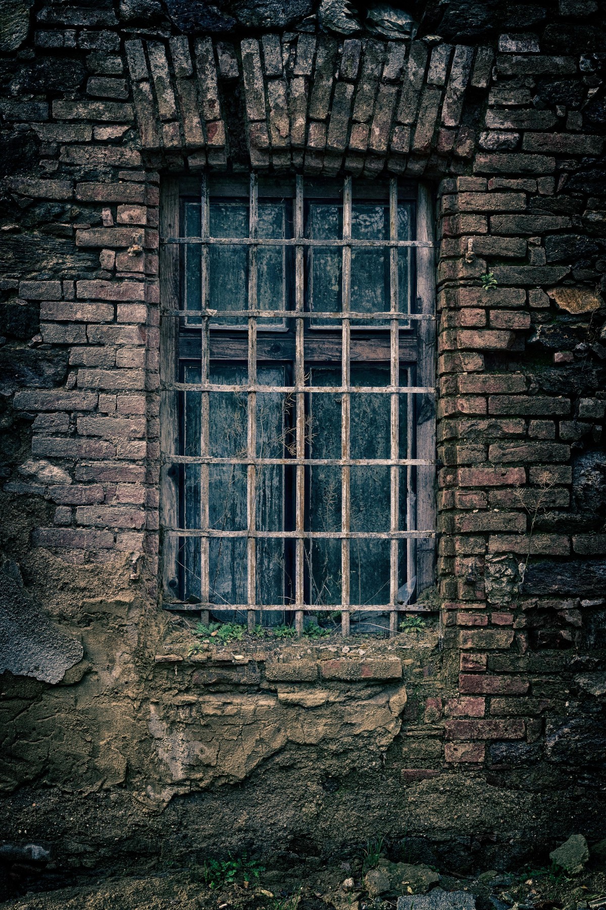 pexels-pixabay-235986