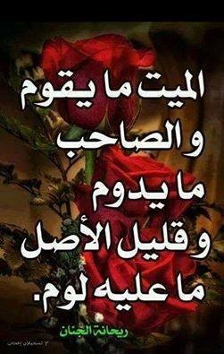 11168077_1594537674119464_321764762876552975_n