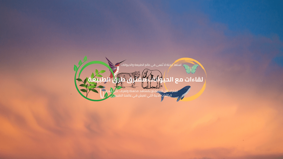 لقاءات_مع_الحيواناتمفترق_طرق_الطبيعة