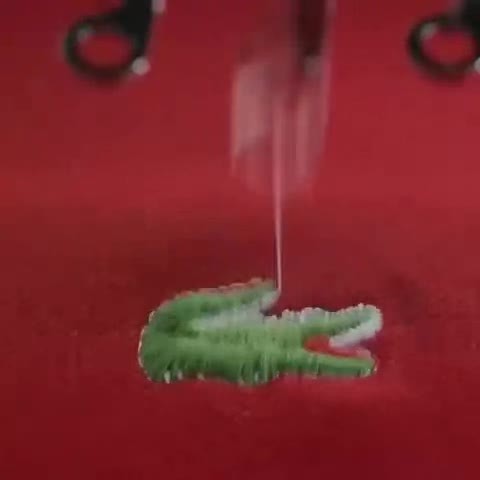 SmugDeliciousEskimodog