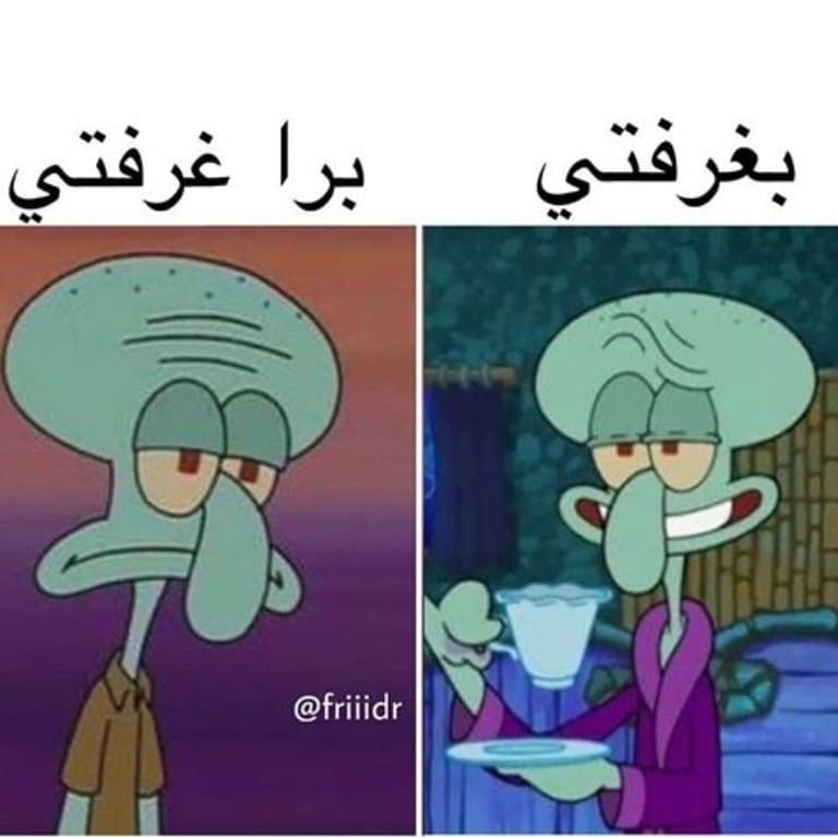 ميمز شفيق حبار